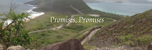 Promises,  Promises