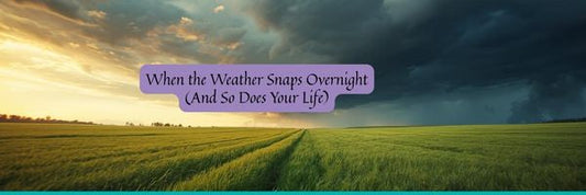 When the Weather Snaps Overnight (And So Does Your Life)