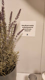 Earth Has No Sorrow That Heaven Cannot Heal(Scripture Cards)