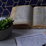 Sermon Notes